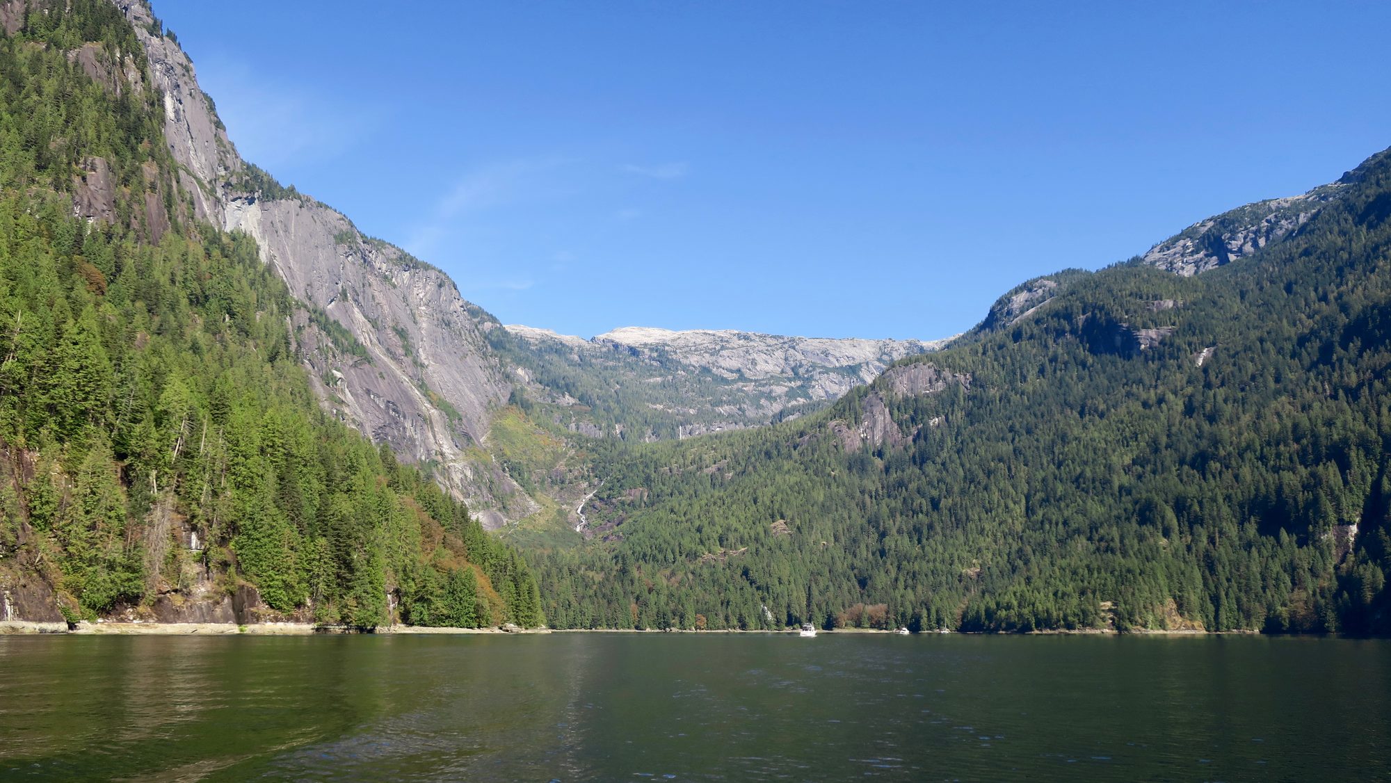 Princess Louisa Inlet, with forested granite walls rising on both sides of calm green water.